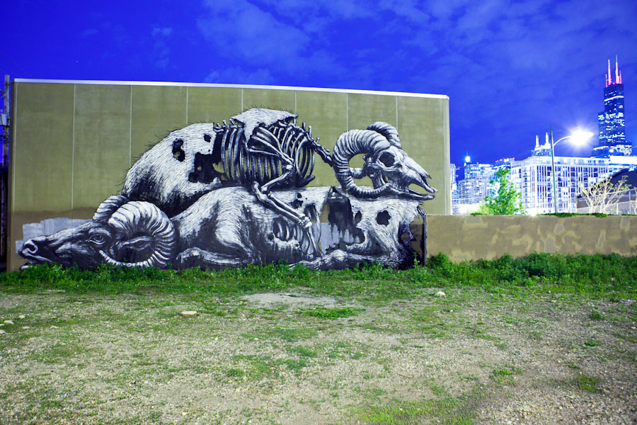 street_art_23_roa_Chicago