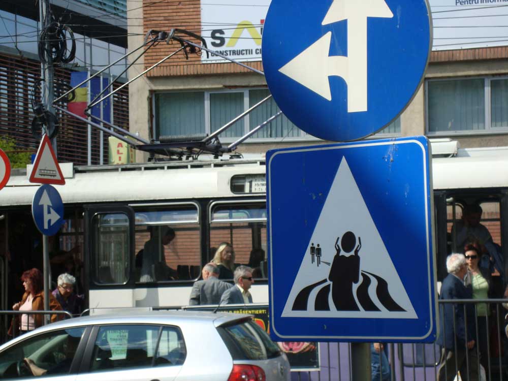 street_art_47_monotremu_timisoara_romania