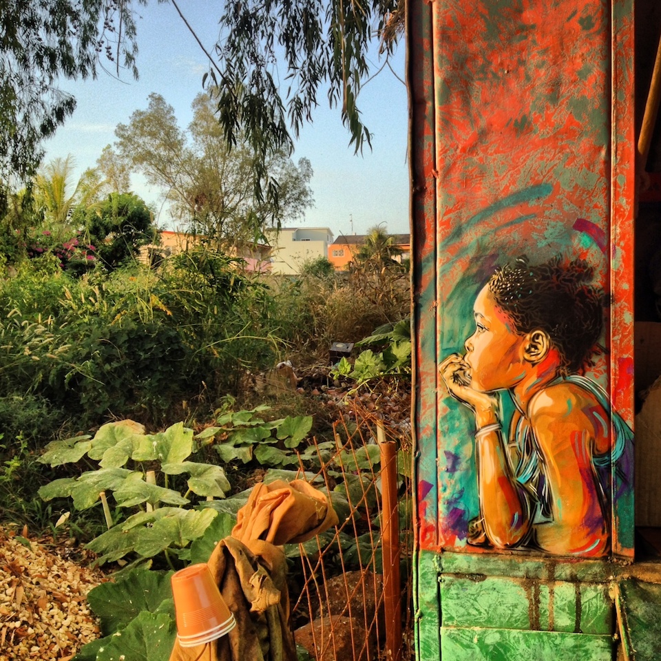 Street Art by C215 in Senegal 1