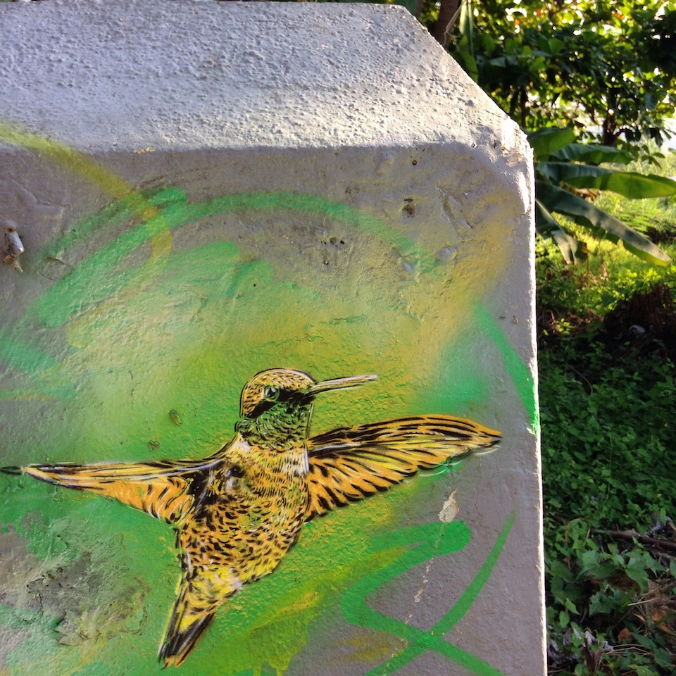 By C215 in Kingston and Nine Mile in Jamaica Street Art Utopia